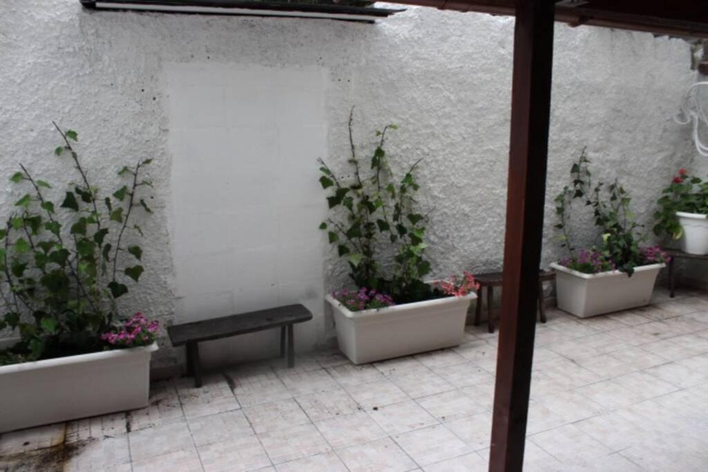 Maison Nicolai 237 Appartement